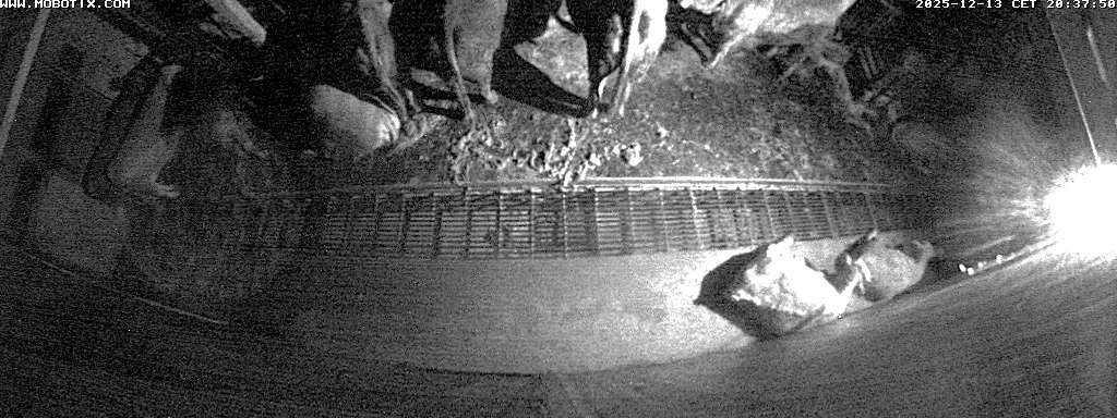 Warten Sie auf das herunterzuladende Bild. Wird das Bild nicht angezeigt, wurde der Zugriff verweigert!